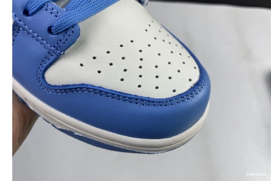 Nike Dunk DD1503-100 Low Coast (W) 1216